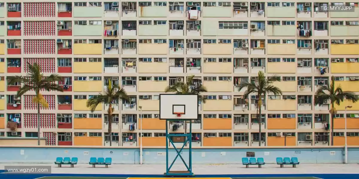 从赛场到屏幕，用热爱连接世界！🌐❤️